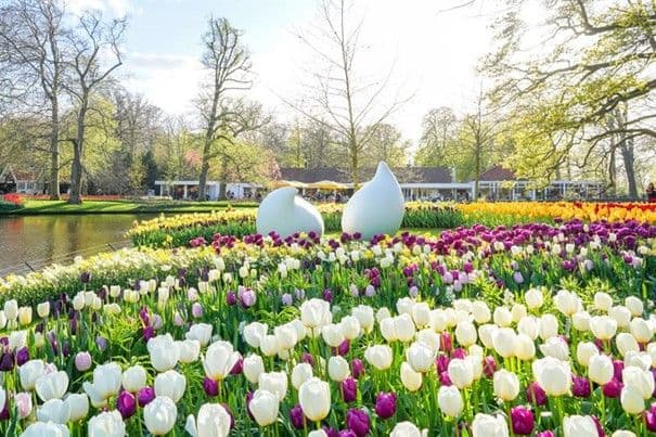 2521 Keukenhof - za tulipány do nejkrásnějšího parku Nizozemska